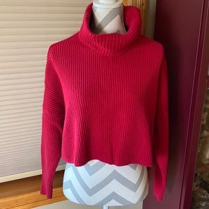 Cropped Sweater with Turtleneck